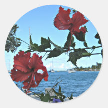 Fleurs tropicales d'île autocollants ronds