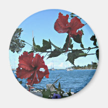 Fleurs tropicales d'île magnets