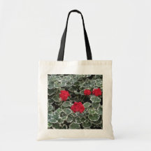 Fleurs zonales de géranium (pélargonium Hortorum) Sac En Toile
