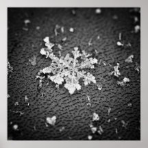 Flocon de neige affiches