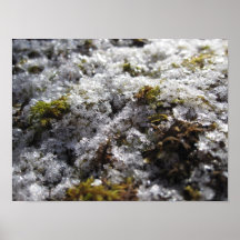 Flocons de l'hiver posters