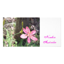 Flora 12 carte avec photo