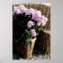 Flora mise en pot affiche