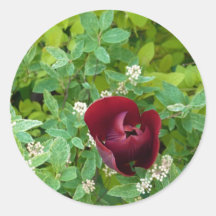 Floral Adhésif Rond