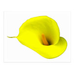 floral carte postale