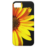 floral coque Case-Mate iPhone 5