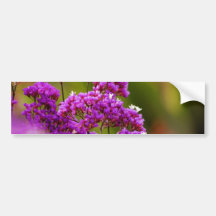 Floral magenta adhésifs pour voiture