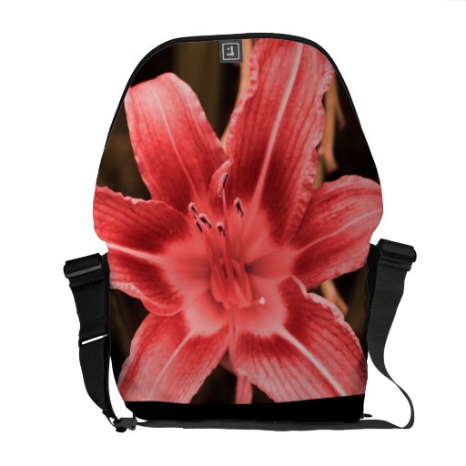 floral sacoches