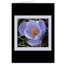 flore pour le ressort #2 carte
