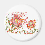 Flower* *Magical Magnets