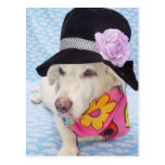Flower power Myrtie Cartes Postales