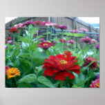 Flower power posters