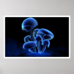 Fluorescence Affiches