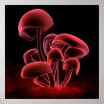 Fluorescence rouge (carré) poster