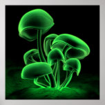 Fluorescence verte (carré) affiche