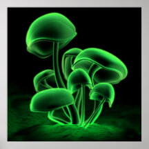 Fluorescence verte (carré) affiche