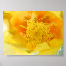 Folie jaune posters