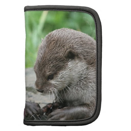 Folio de portefeuille d'habitat de loutre agendas folio