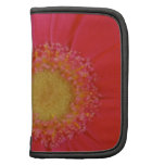 Folio rose de marguerite de Gerbera Organiseur