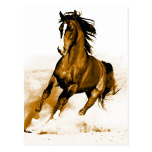 Fonctionnement de cheval carte postale