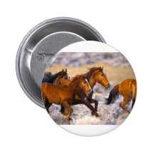 Fonctionnement de chevaux badges avec agrafe