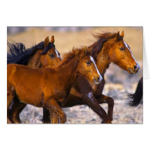 Fonctionnement de chevaux cartes de vœux