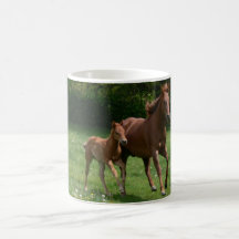 Fonctionnement de jument et de poulain mugs à café