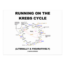 Fonctionnement sur le cycle de Krebs (humour de la Cartes Postales