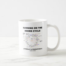 Fonctionnement sur le cycle de Krebs (humour de la Tasses