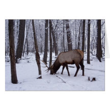 Forêt congelée carte de vœux