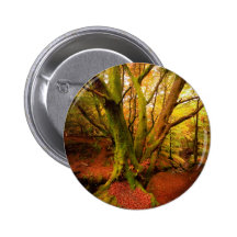Forêt d'automne pin's avec agrafe