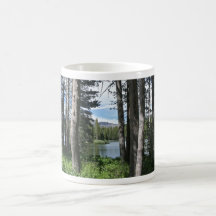 Forêt de lac mountain, hamac, dock, tasse