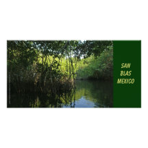 Forêt de palétuvier de San Blas, Mexique Cartes Avec Photo