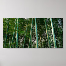 Forêt en bambou affiches