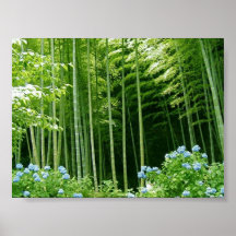 Forêt en bambou affiche