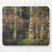 Forêt par le tapis de souris d'arbres