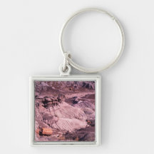 forêt petrified porte-clef