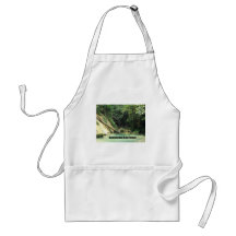 Forêt tropicale guatémaltèque tabliers