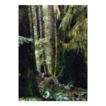 Forêt tropicale, Tofino, Colombie-Britannique Invitations