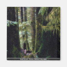 Forêt tropicale, Tofino, Colombie-Britannique Aimant Pour Réfrigérateur