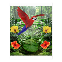 Forêt tropicale tropicale carte postale