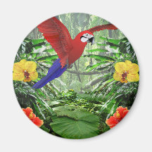 Forêt tropicale tropicale magnets