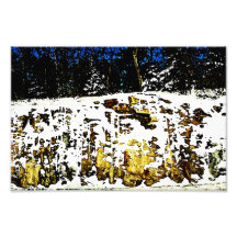 Formation de roche dans la neige impressions photographiques