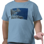 formentor t-shirt
