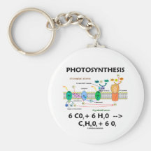 Formule de photosynthèse (produit chimique) porte-clefs