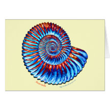 Fossile d'ammonite cartes de vœux