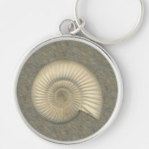 Fossile d'ammonite de Perisphinctes Porte-clé