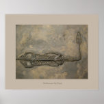 Fossile  de KEICHOUSAURUS HUI, Trias Poster
