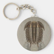 Fossile Keychain de Trilobite Porte-clef