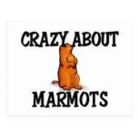 Fou au sujet des marmottes cartes postales